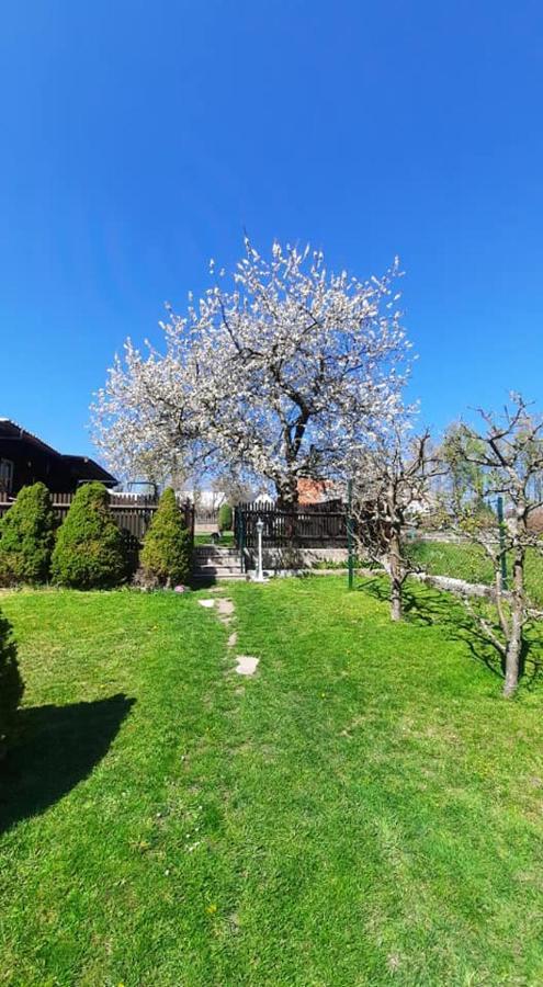 Penzion Novy Svet Krasno Exterior photo